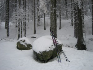 The only place I was happy for my skis to be