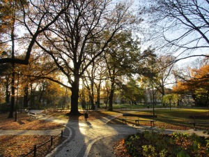 Autumn sunlight in the park by the Philharmonia
