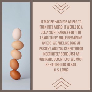 It may be hard for an egg to turn into a bird: it would be a jolly sight harder for a bird to learn to fly while remaining an egg. We are like eggs at present. And you cannot go on indefinitely being just an ordinary, decent egg. We must be hatched or go bad.
