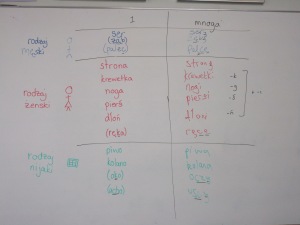 Singular and plural table of Polish nouns on whiteboard